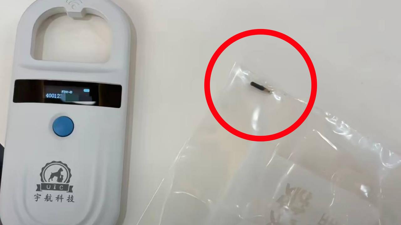 吃外送咬到「寵物晶片」還掃出編號！一查竟是這動物
