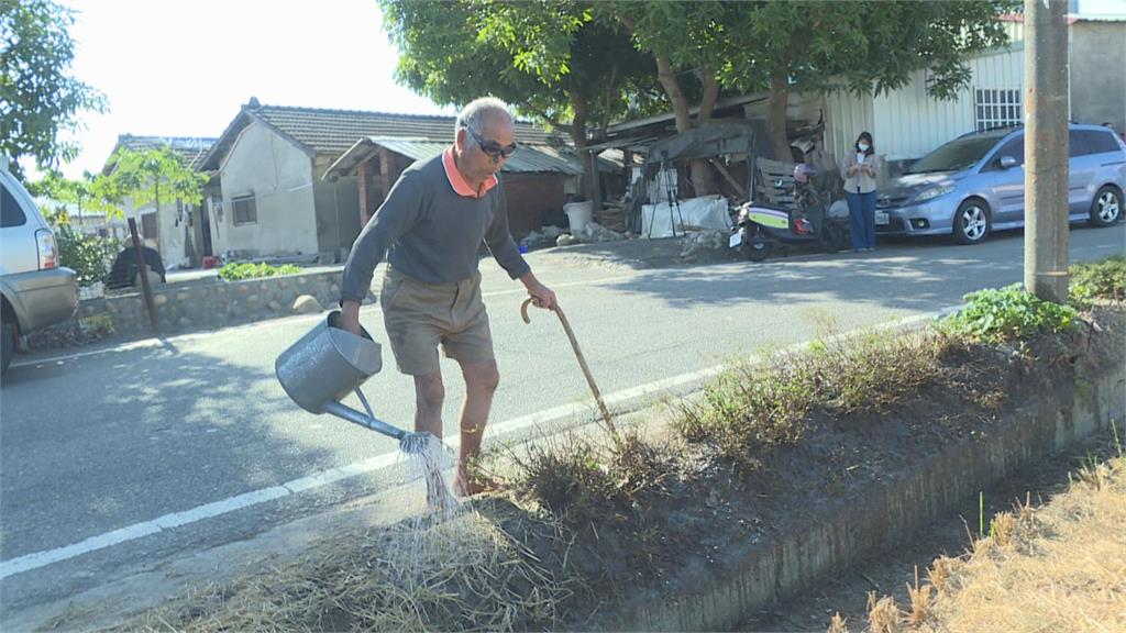 天天過馬路灌溉菜園　台中獨居盲眼爺靠「聽聲辨位」暢通無阻