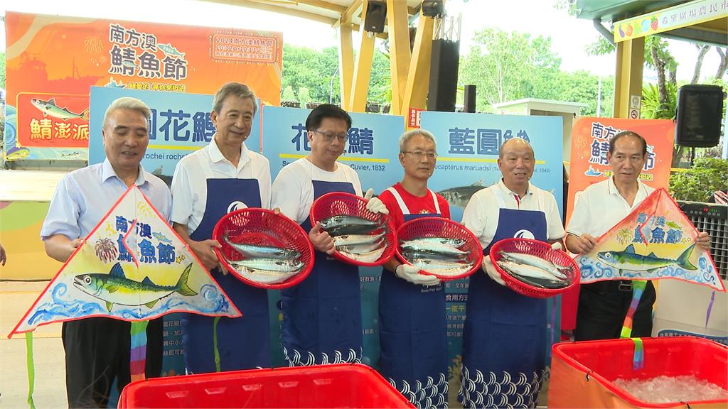 南方澳鯖魚節登場！　瞄準中秋烤肉市場　搶6億商機