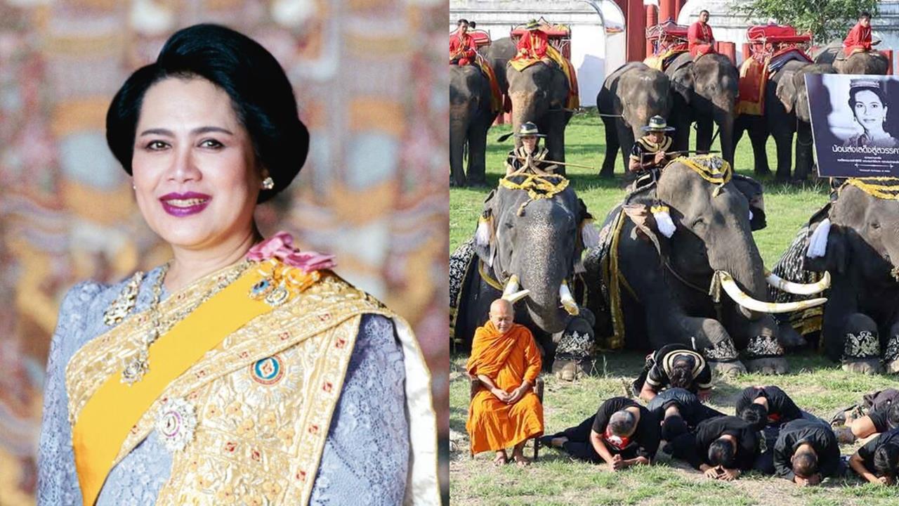 詩麗吉王太后辭世全國「默哀93秒」 泰國9頭大象「集體下跪」畫面曝光