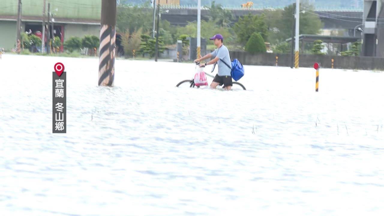 青雉上將來了！民眾淡定騎鐵馬　宜蘭汪洋意外神還原「這一幕」