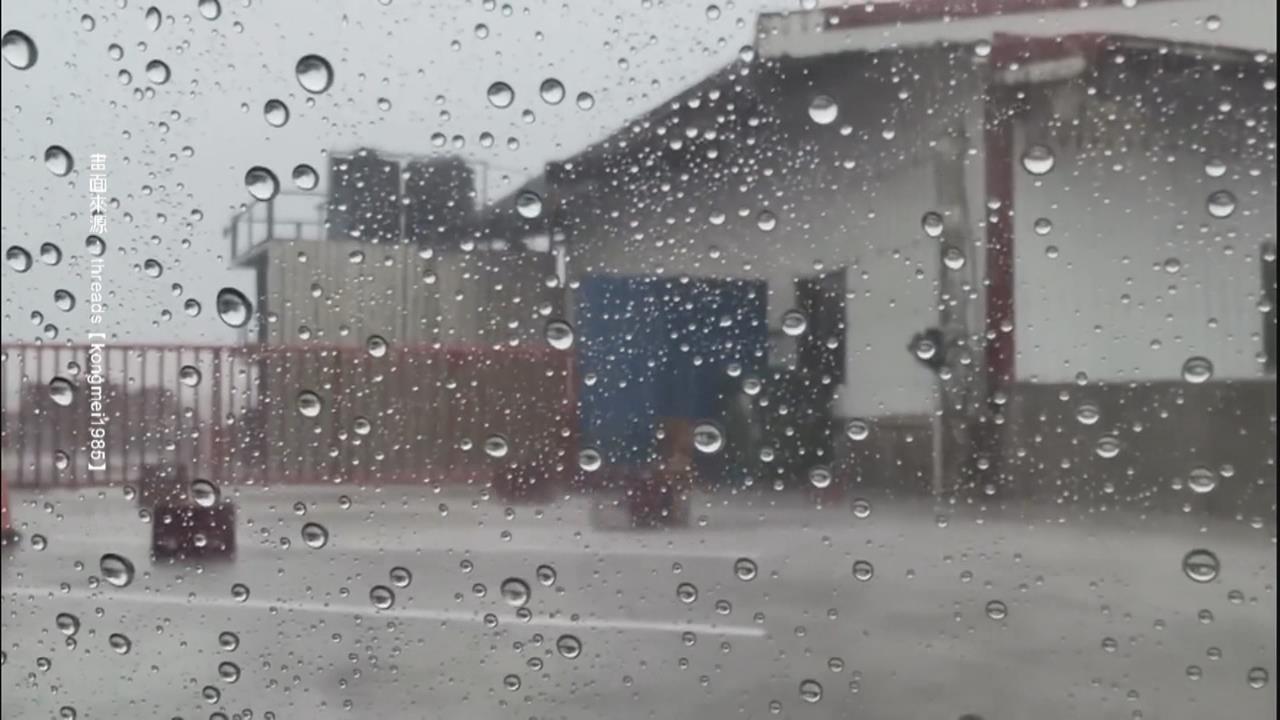 梅雨狂炸! 恆春現"颱風級暴雨" 海生館樹遭吹倒