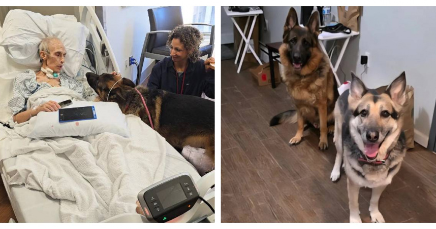臨終前見最後一面!男子與兩愛犬團聚 救援組織助完成心願