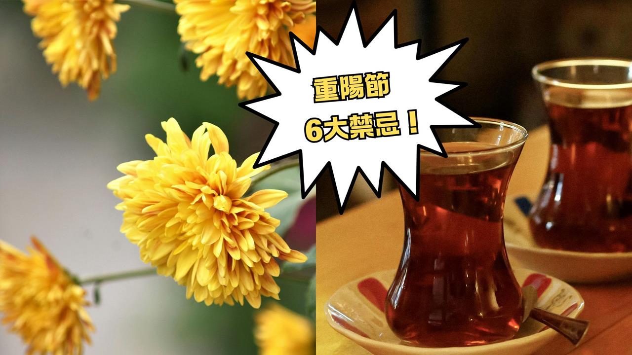 九九重陽節「大凶」快來了!專家點名6地雷禁踩:忌說「這1句」
