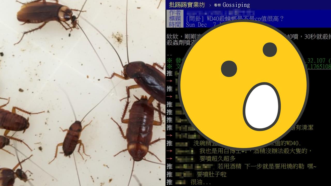 他讚「這噴霧」比殺蟲劑還強！內行搖頭反推「殺蟑1神器」：還有清潔效果