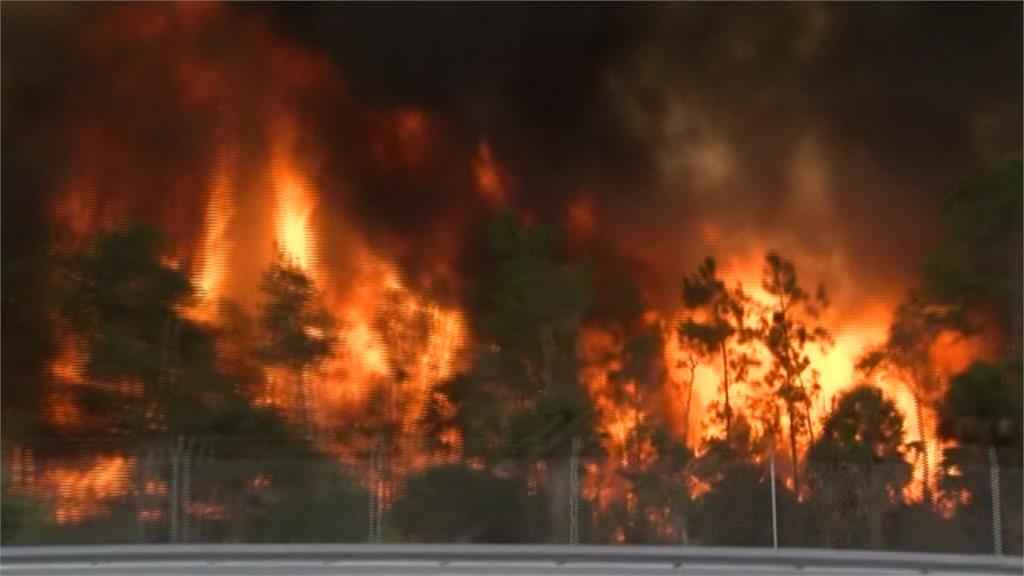佛州發生4場森林野火 162公頃土地陷入火海
