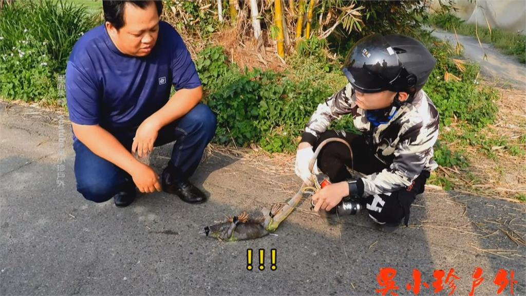 「獵蜥熱」 外籍移工捕捉綠鬣蜥超神準