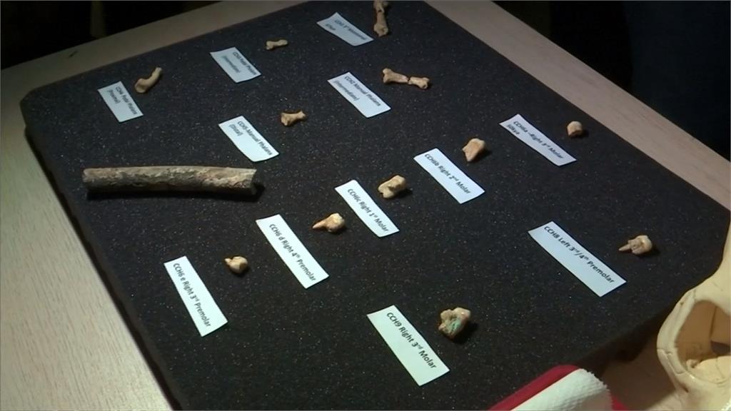 考古學大發現！ 呂宋島山洞發現新人種遺骸