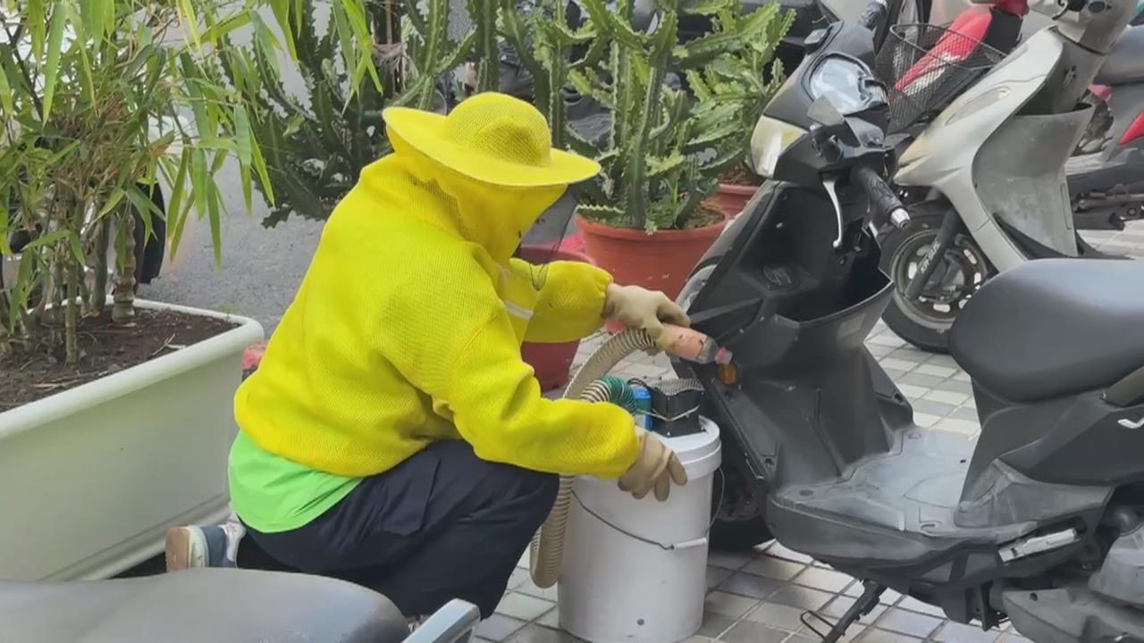 台南機車騎士出門驚見「安全帽內塞滿蜜蜂」　原來是這個原因