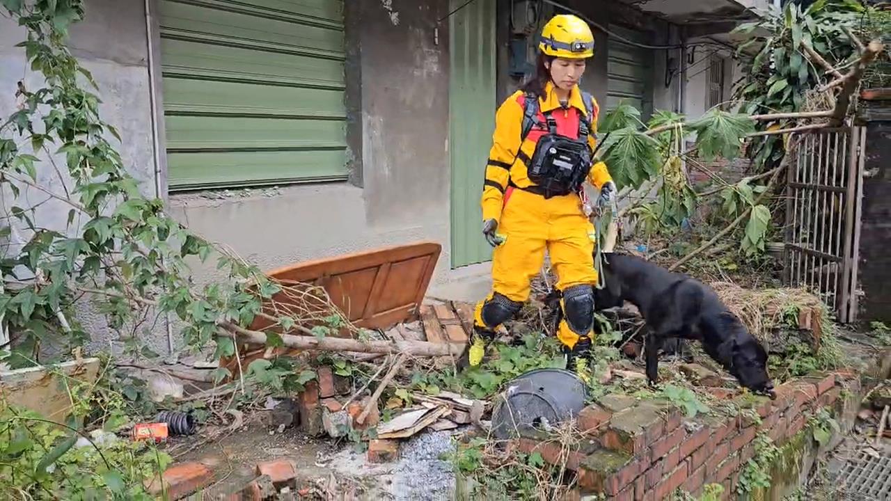 「嗅出生命」! 基隆特搜隊2搜救犬通過國際認證