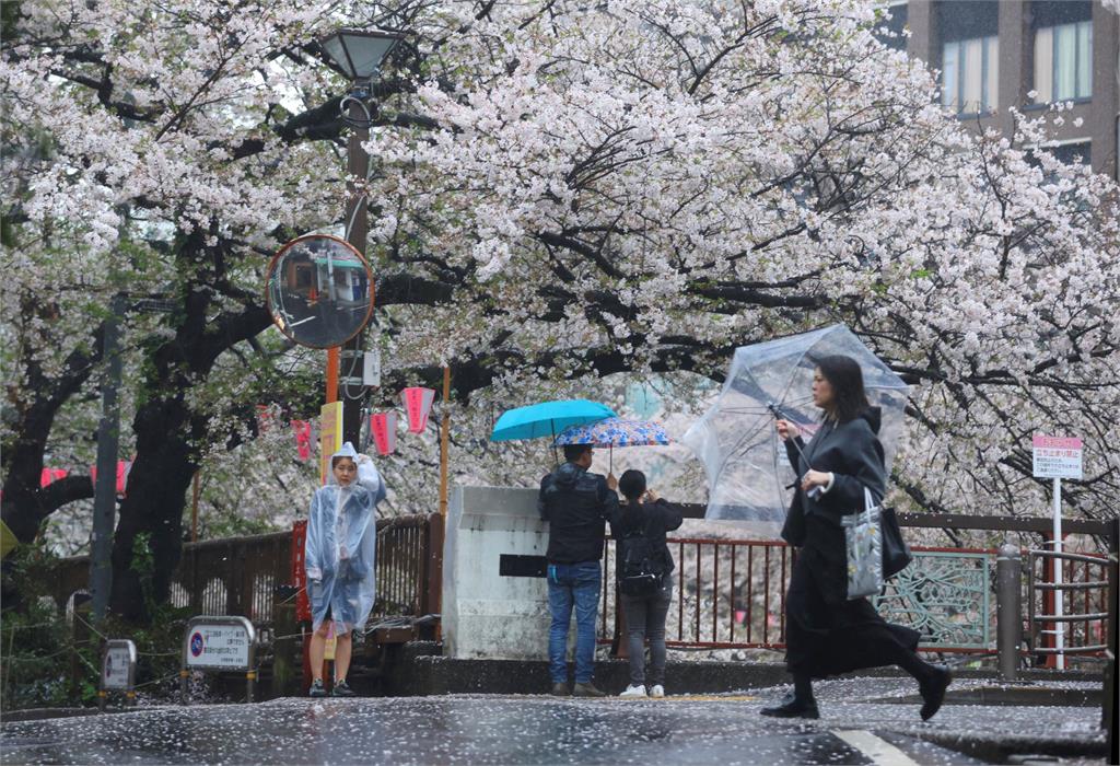 低壓+鋒面！日本強風暴雨　北海道降四月雪、富士現雪泥流