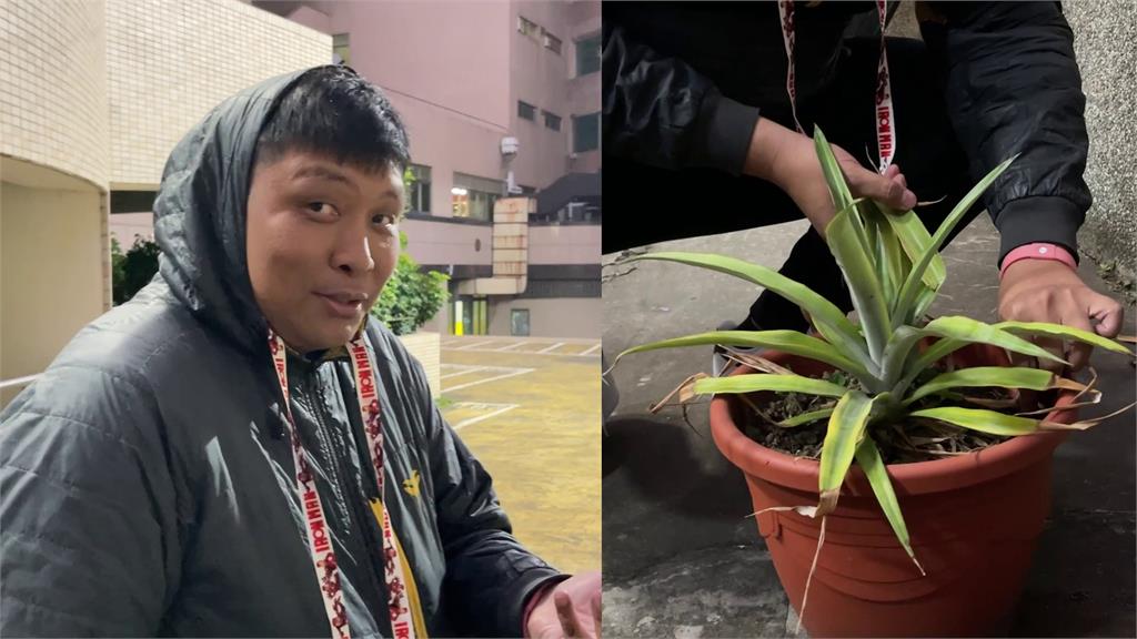 HBL(影)／光復男籃主帥興趣竟是「種鳳梨」　陳定杰：他們陪學長打過經典戰役