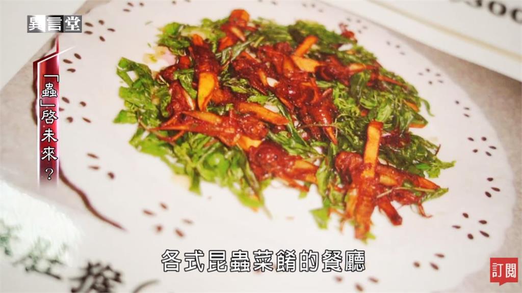 異言堂／昆蟲你敢吃嗎？「食用昆蟲」在台灣能商業化推廣？