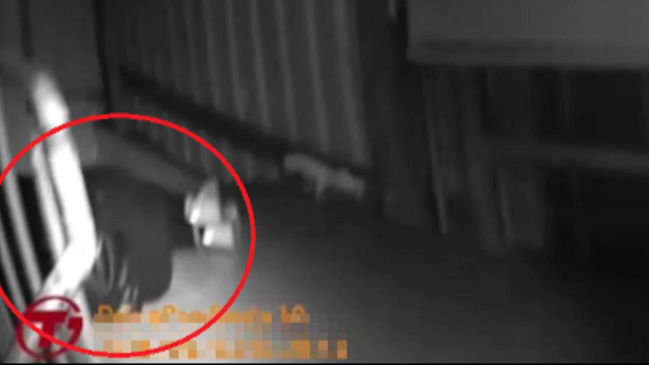 長髮女詭異蜷縮逃生梯 真相... 喝太醉 不小心睡著