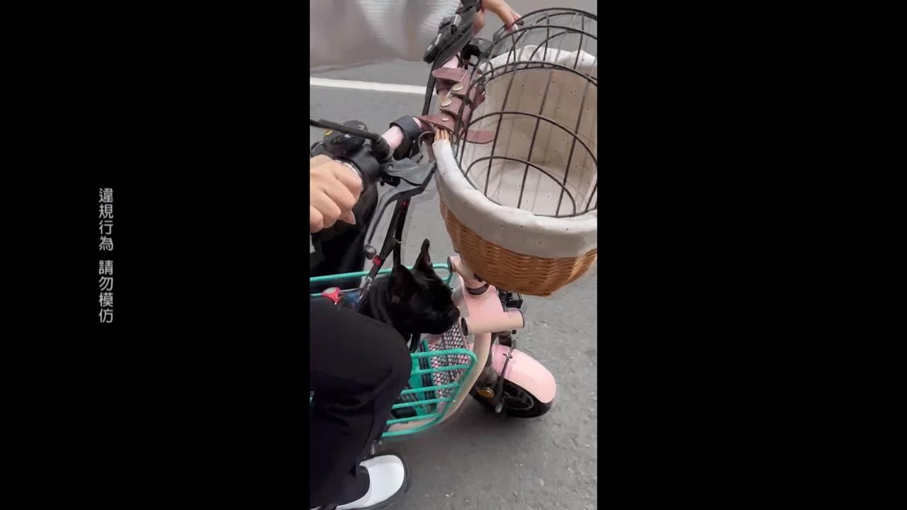 寵物電動車上路「消費者吞罰單」 怒奔法院提告業者詐欺