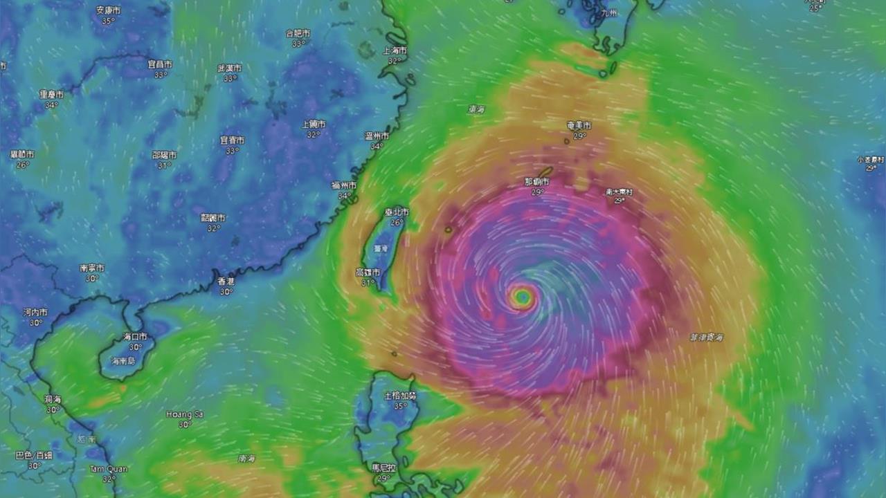 她機上疑見「巴威本人」！畫面曝光網喊「邊角料而已」：絕不只這樣