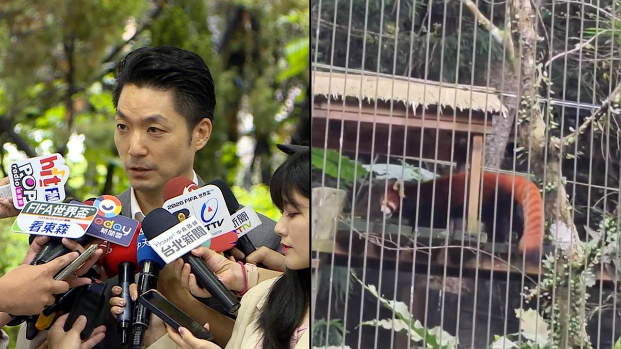 政治考量？蔣萬安捧上海來的卻冷落日本小貓熊？王瑞德提醒：別忘了老鼠！