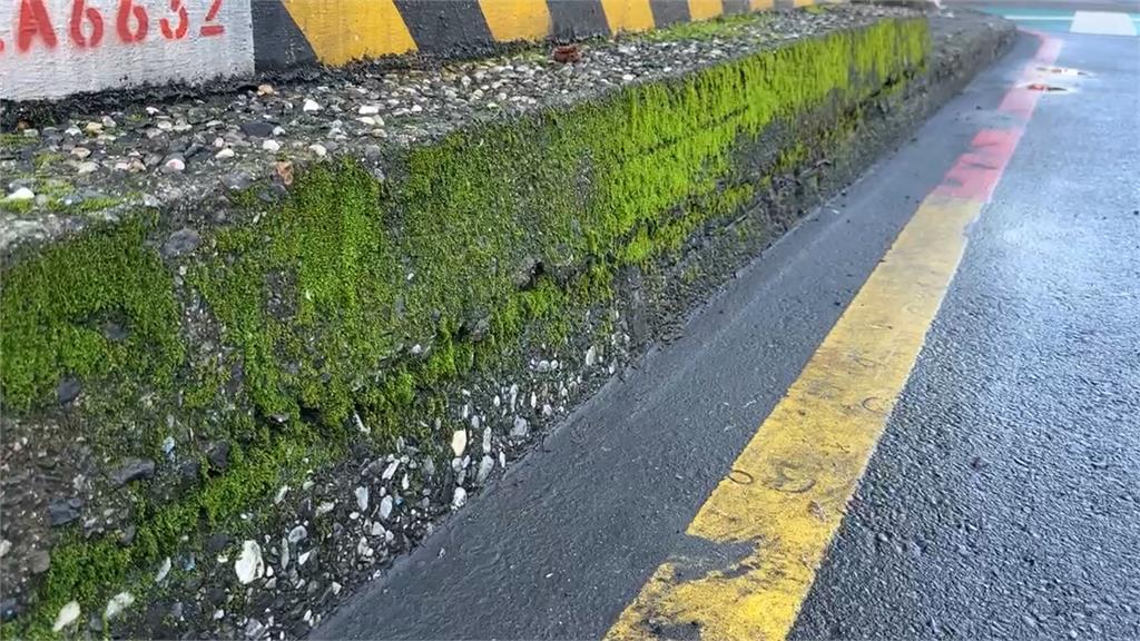 基隆都市傳說「公車會長草」　　公車處證實是真的！諾加強清潔