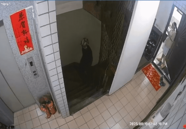 外送員神操作餐點「飛過來了」！她見午餐飛了怒告…影片曝光網喊：太誇張