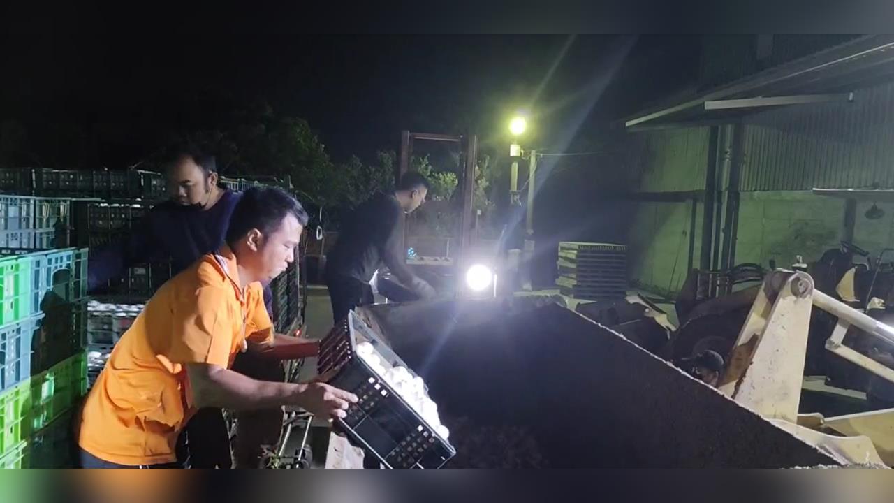 芬普尼毒蛋燒不停! 彰檢搜蛋行帶回負責人 訊後20萬交保