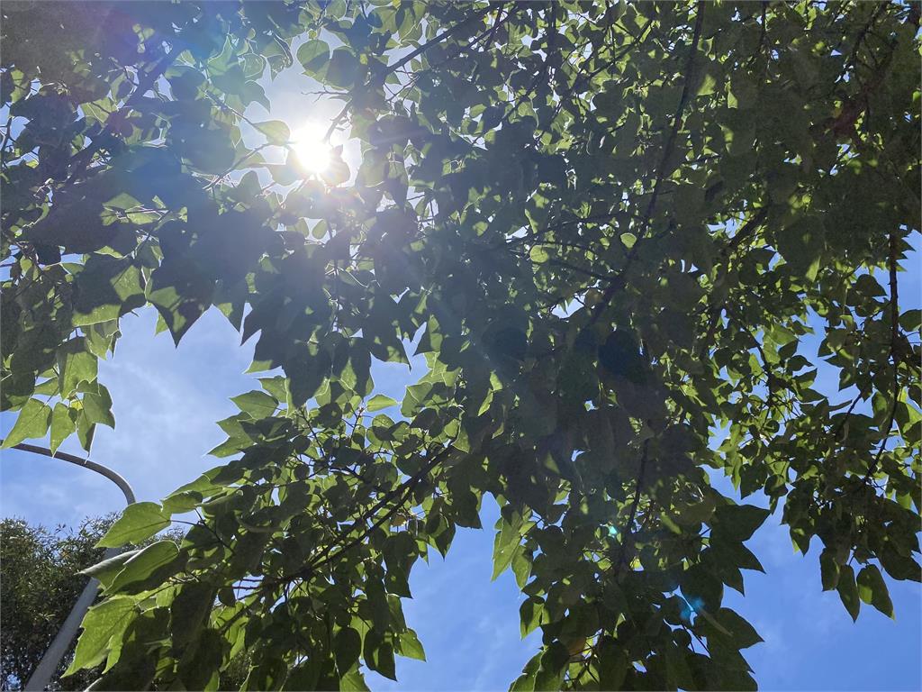 各地晴朗回暖！林嘉愷曝「這天」水氣增加：北部、東部有局部雨