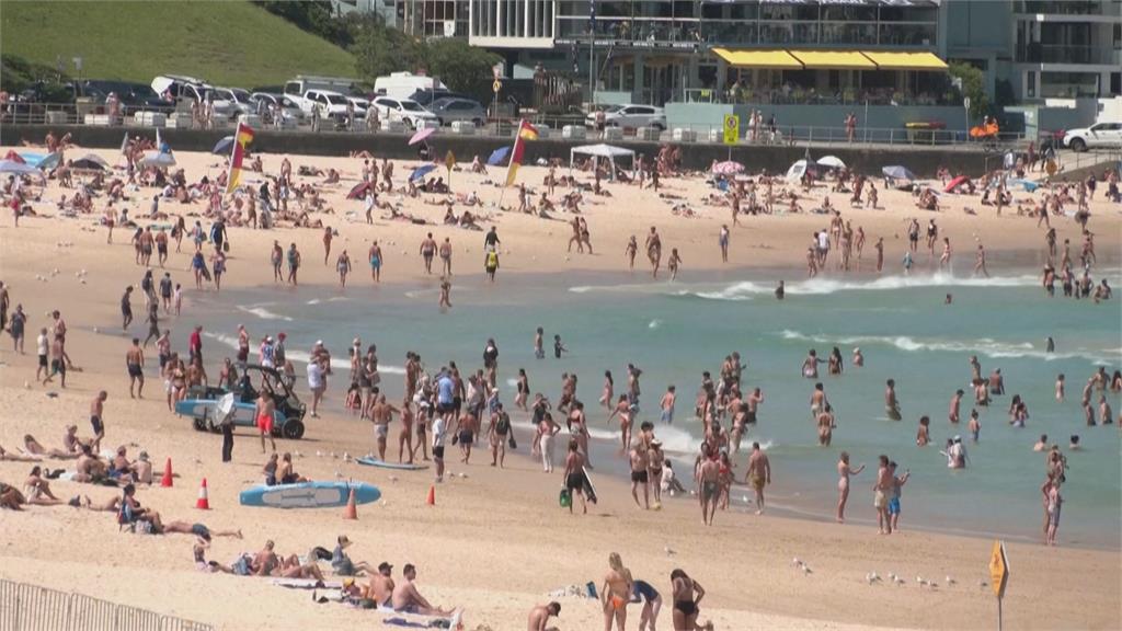 南半球熱爆！雪梨飆破40度創2年多紀錄　知名邦迪海灘　擠滿消暑人潮