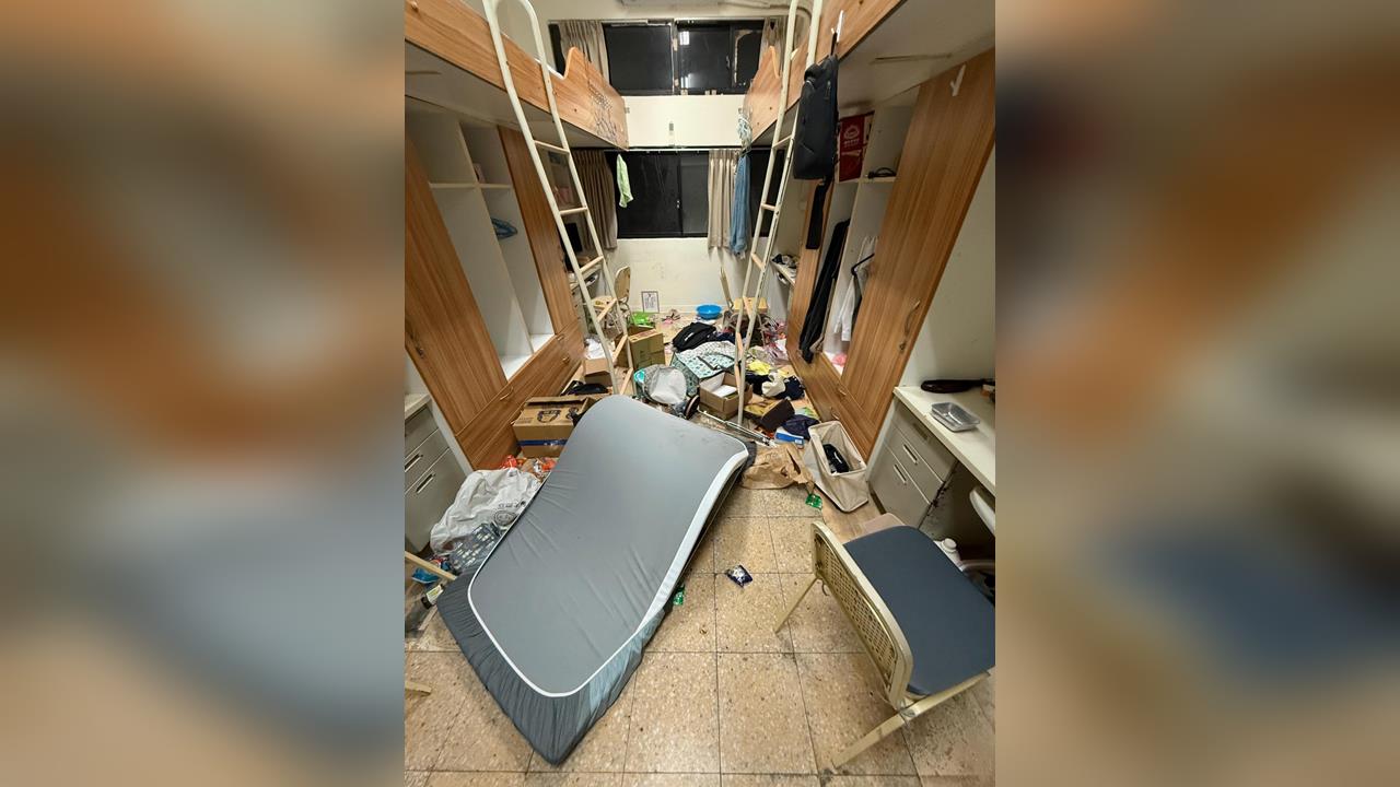 中山大學宿舍被獼猴洗劫！　「大學長」坐書桌忘情吃零食