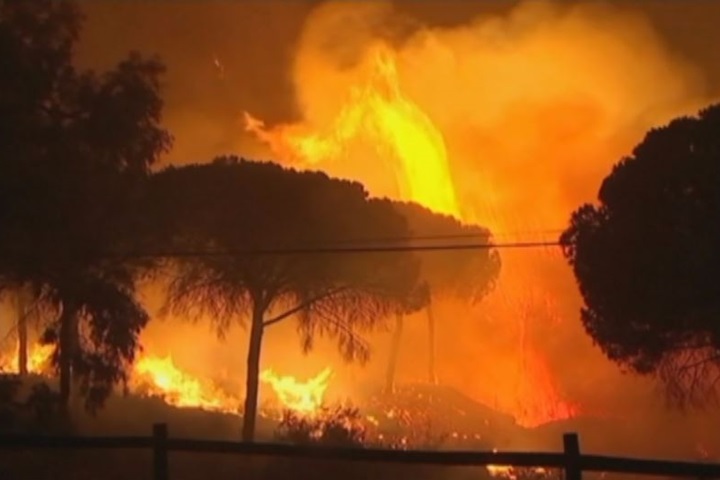 熱浪襲全球 西班牙多數野火肆虐