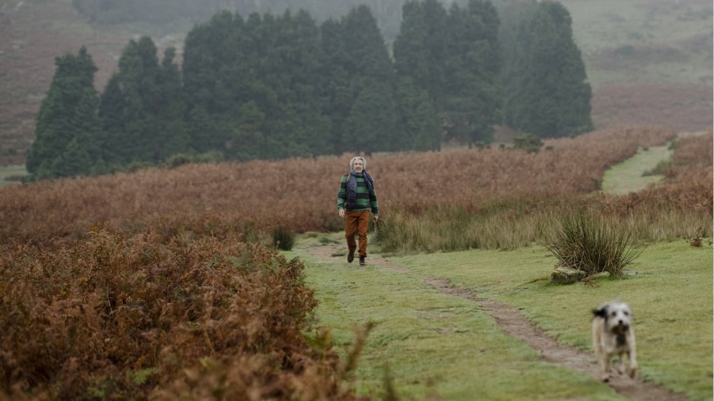 《緣來想見妳》網羅南法、首爾美景　四季線上限時免費看