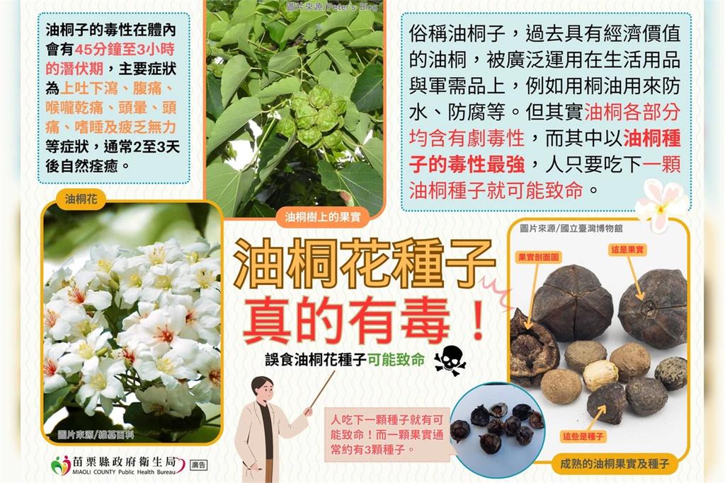陽明山知名私校出事　6生誤食「油桐子」身體不適送醫