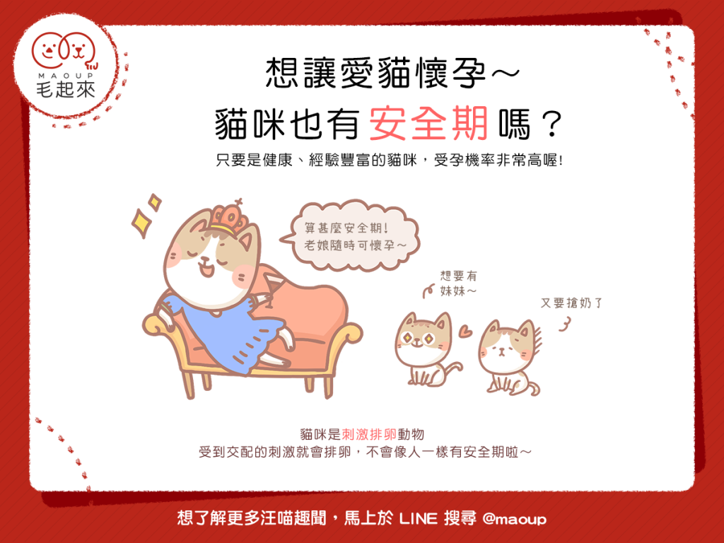 【喵喵小學堂】想讓愛貓懷孕～貓咪也有安全期嗎？