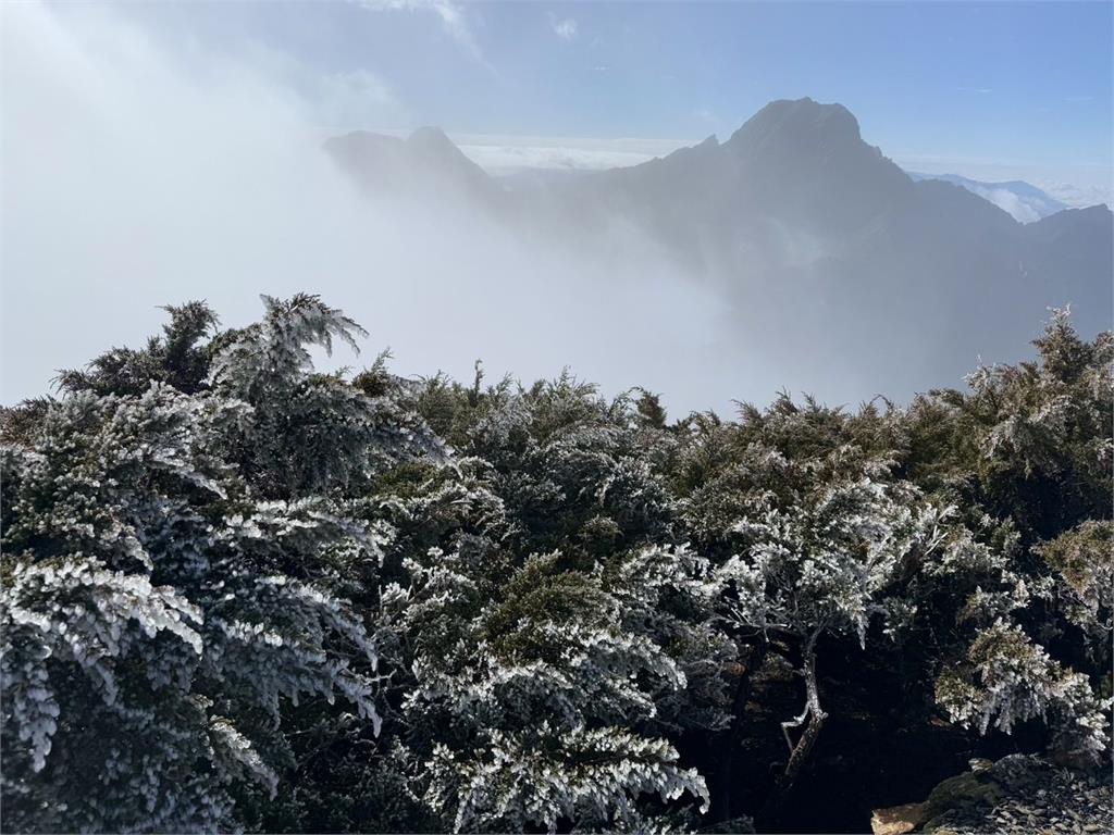 快新聞／玉山今晨「-1.6度」出現霧淞　絕美銀白美景再次曝光