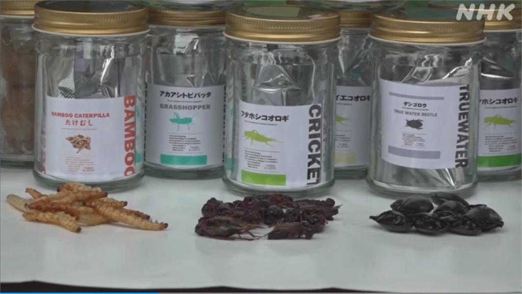日本昆蟲「食」代來臨　自動販賣機推油炸昆蟲