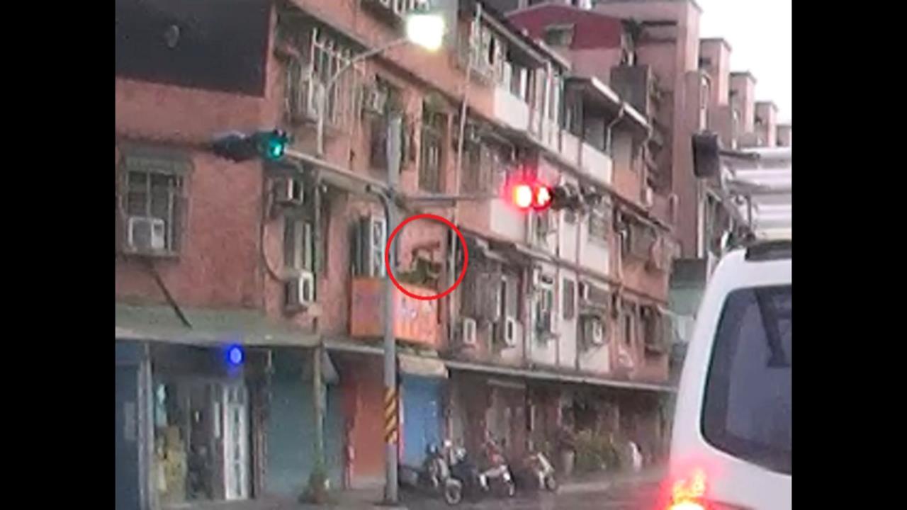 以為虐狗！　民眾目擊小狗　從「３樓墜落」原因今曝光