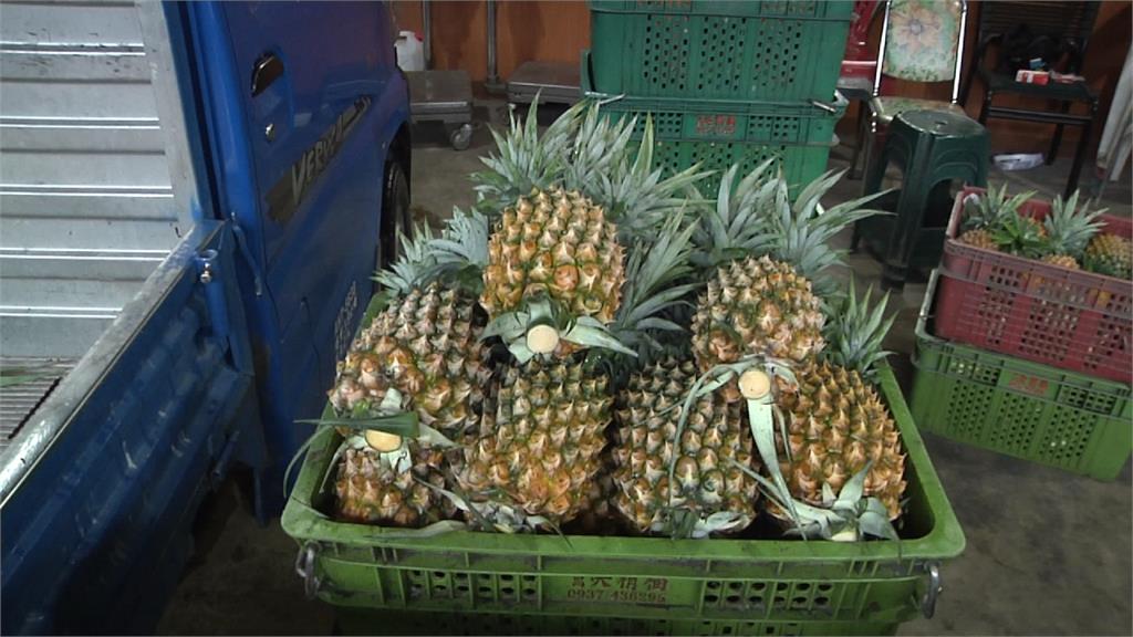 中油收購2萬台斤鳳梨 1顆42元加油站就能買