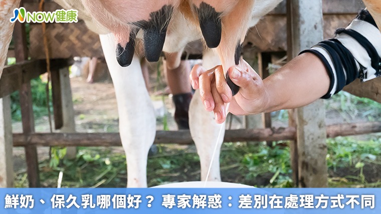 鮮奶、保久乳哪個好？專家解惑：差別在處理方式不同