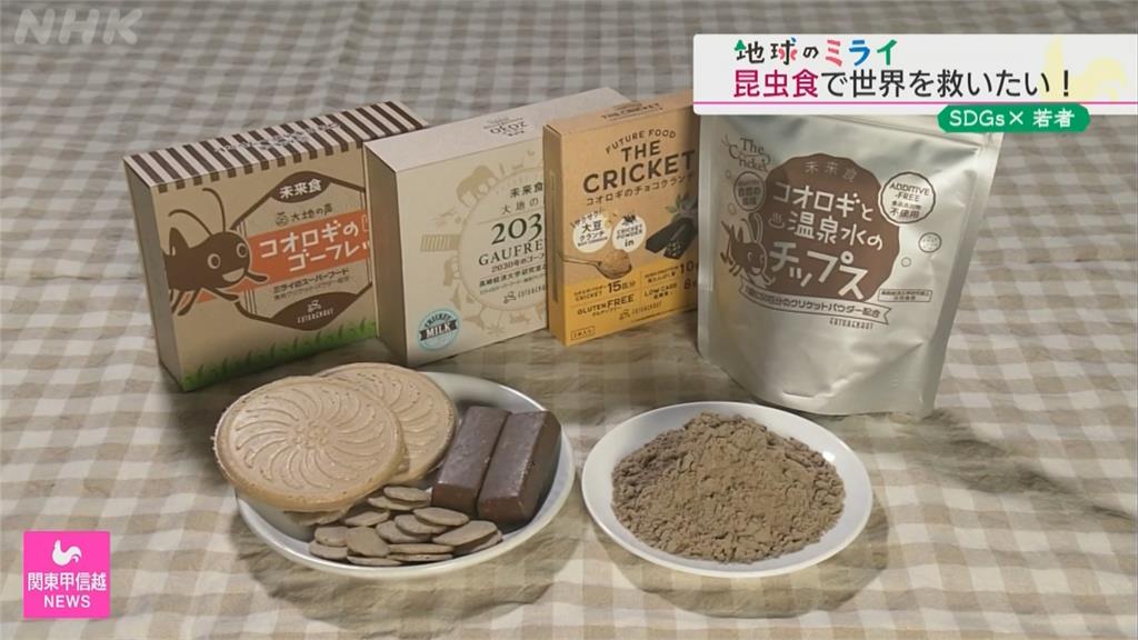 靠吃蟲解決糧食危機日本大學生研發昆蟲零食- 民視新聞網