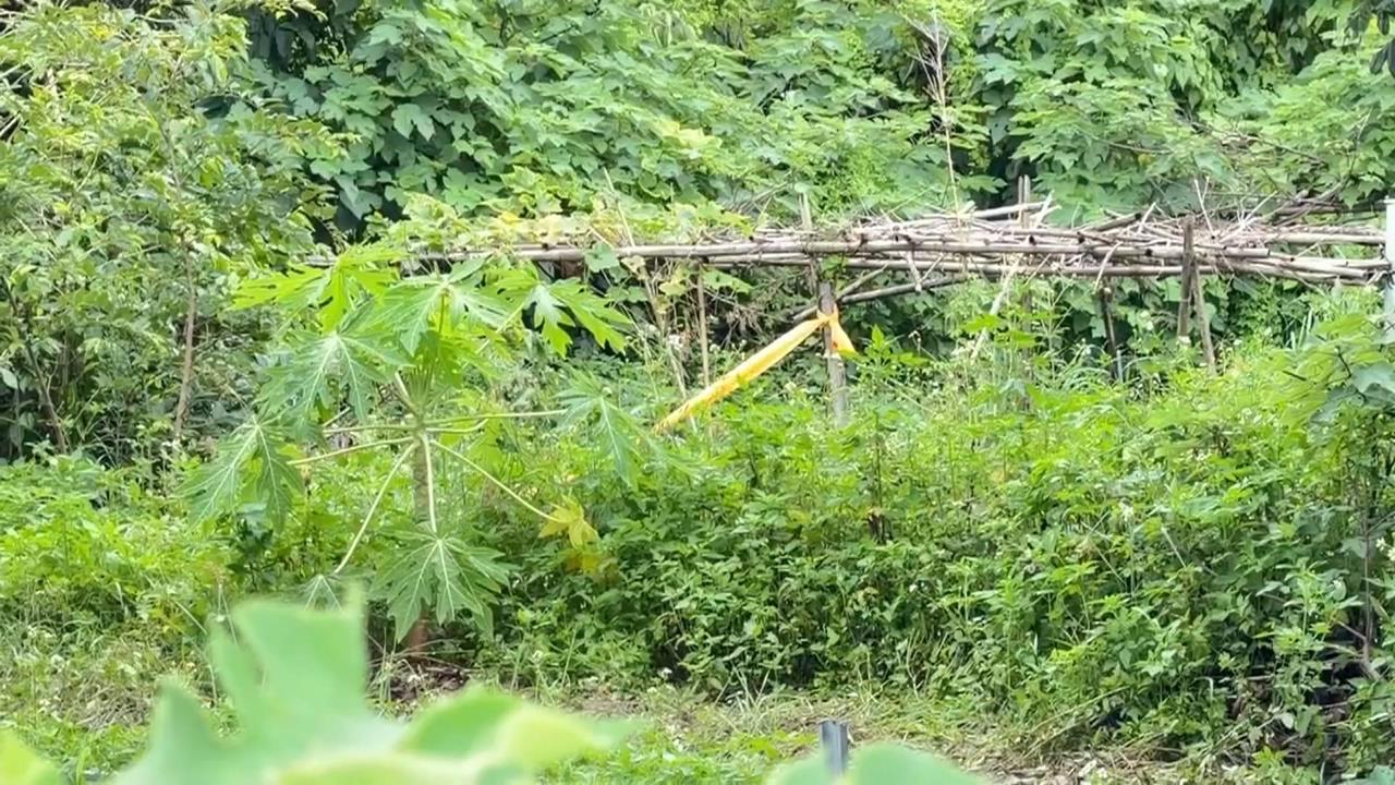 新竹新埔六旬男失聯　菜園尋獲死因排除溺斃