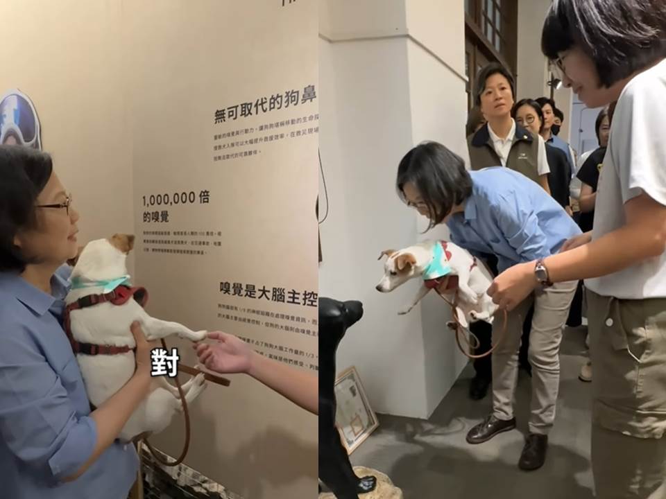 快新聞／蔡英文帶「樂樂」赴搜救犬特展　超萌看故事、和老朋友敘舊畫面曝