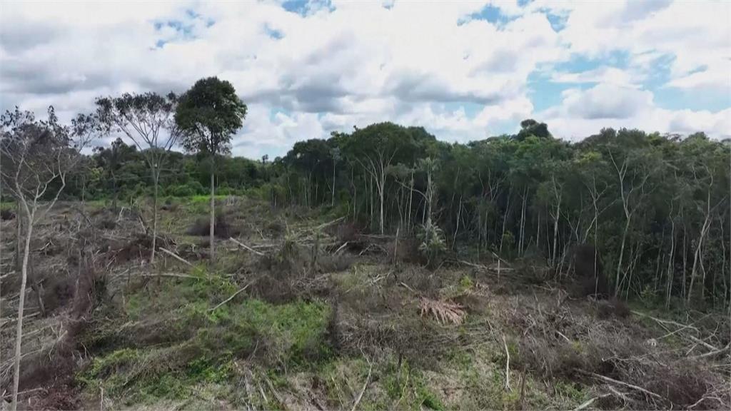 亞馬遜雨林有救了嗎？　巴西新總統拚2030年前實現零砍伐