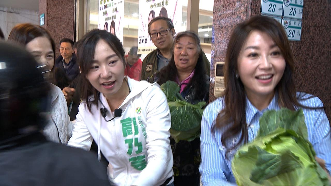 女力顧菜農! 新北議員選將高乃芸發起"發票換高麗菜"
