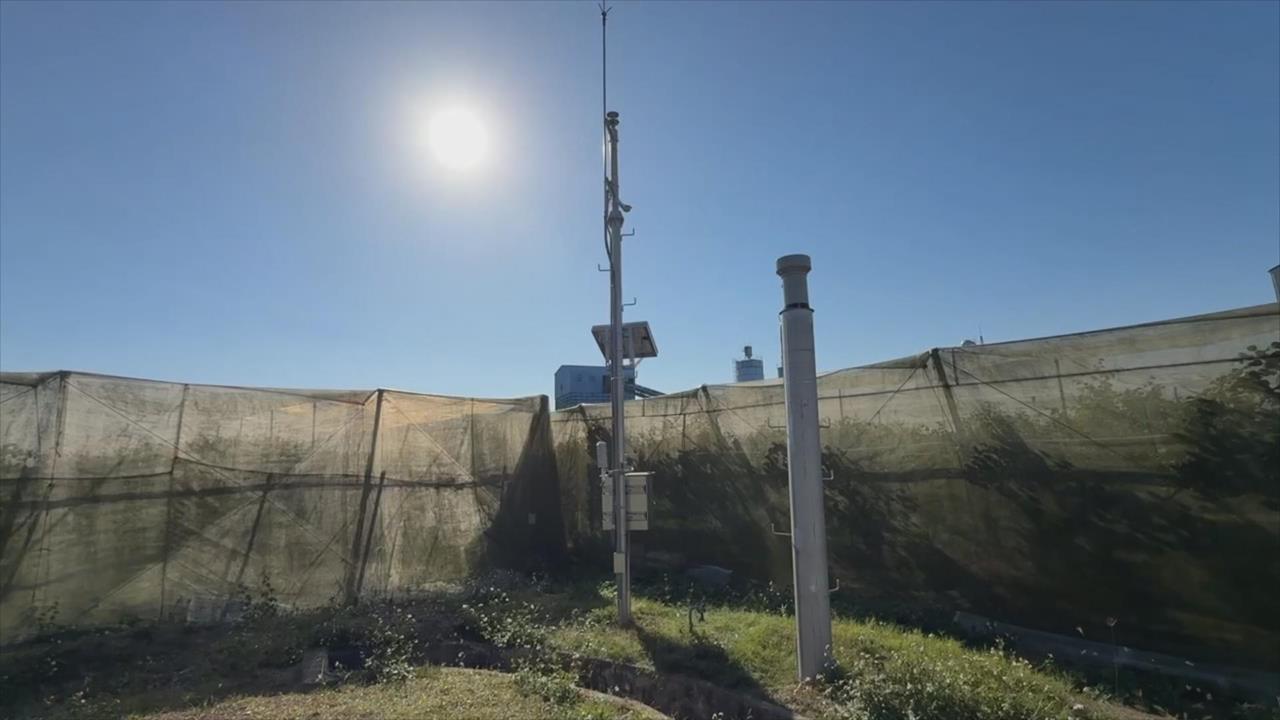 申請災損賠很方便！鹿陶洋氣象觀測站　隱身青農私人果園