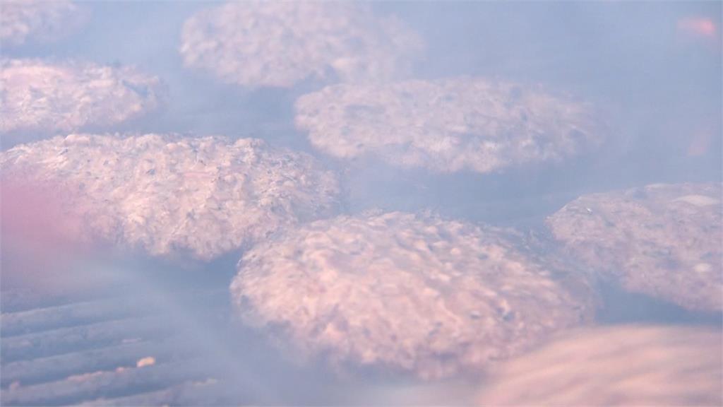 通膨時代來臨! 美國國慶日開烤肉趴花費比去年高5%