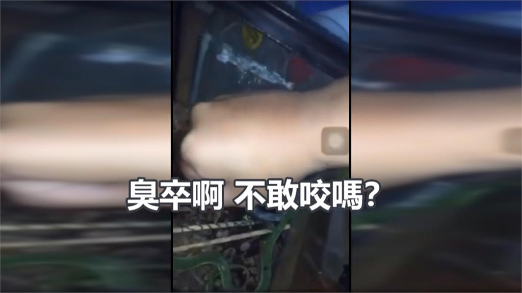 用手挑釁青竹絲嗆「不敢咬嗎」？下一秒男子GG了