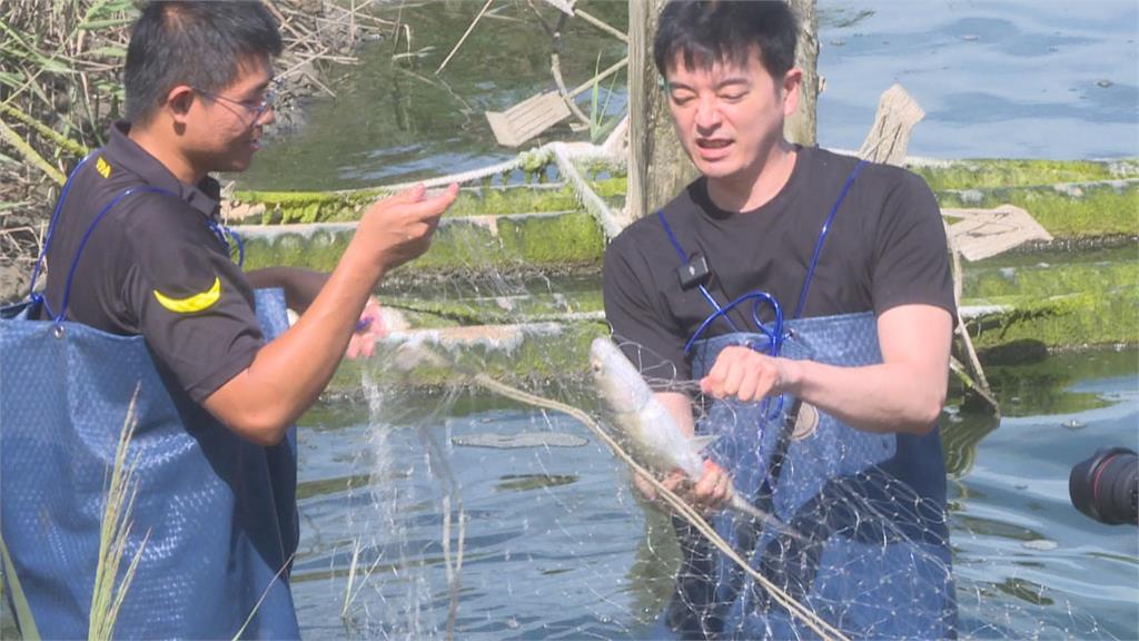 暑假嘉義最大盛事！　「東石海之夏」7/20起漁人碼頭登場