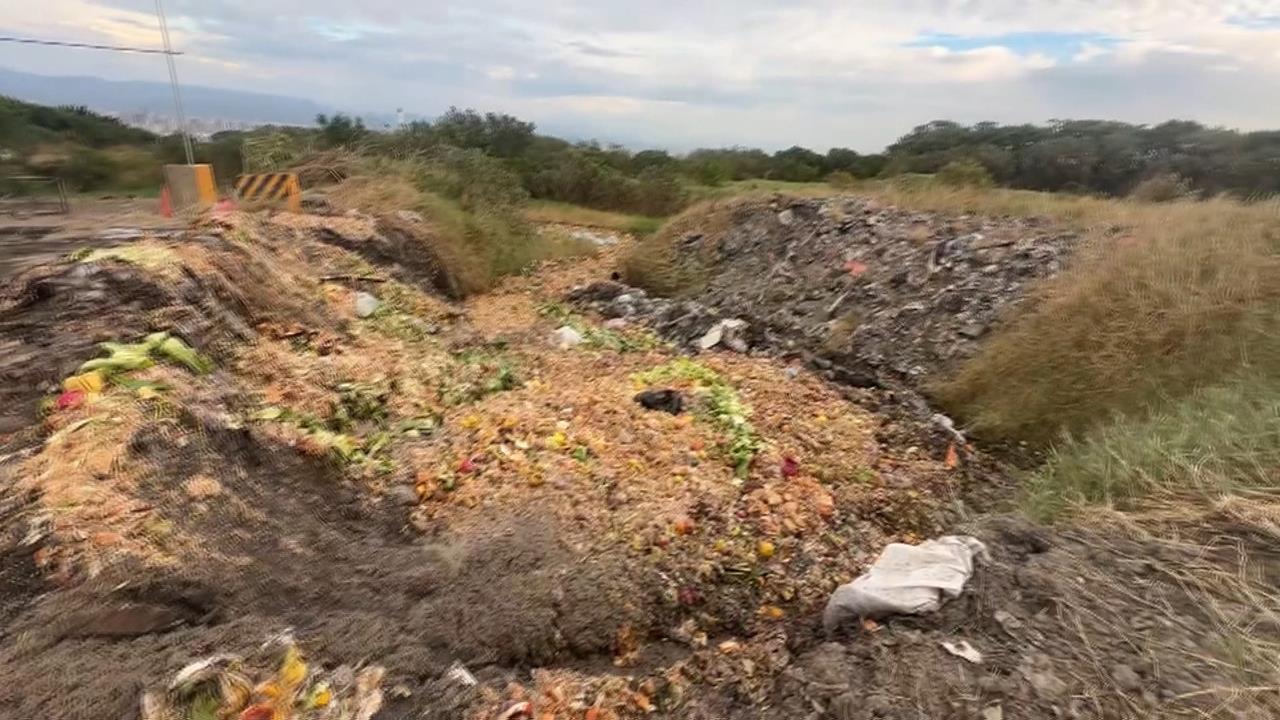 永久禁廚餘養豬? 陳駿季:只要處理好就是很好的飼料