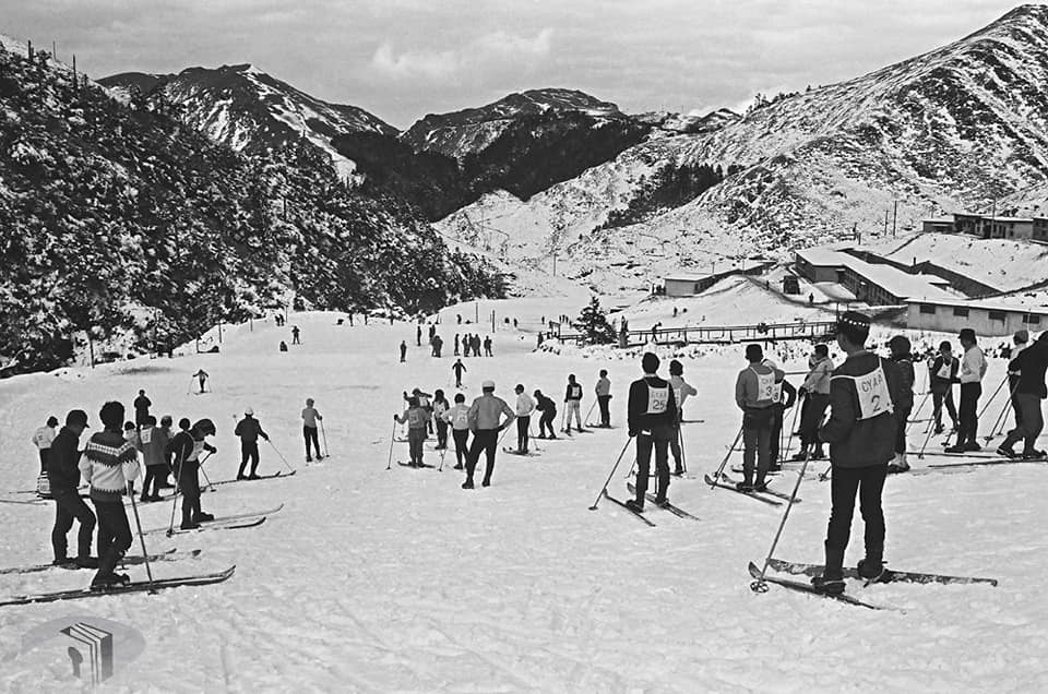 快新聞／台灣也有滑雪場？　外交部曝60年前武嶺滑雪場照籲：永續是世代責任