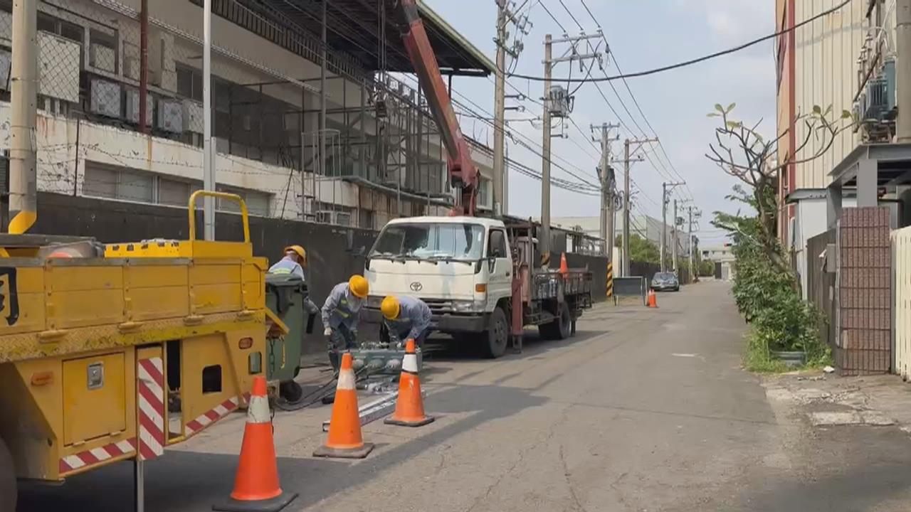 獨／「牠」誤觸高壓電害大停電　炸毛倖存被工廠收養意外成萌寵