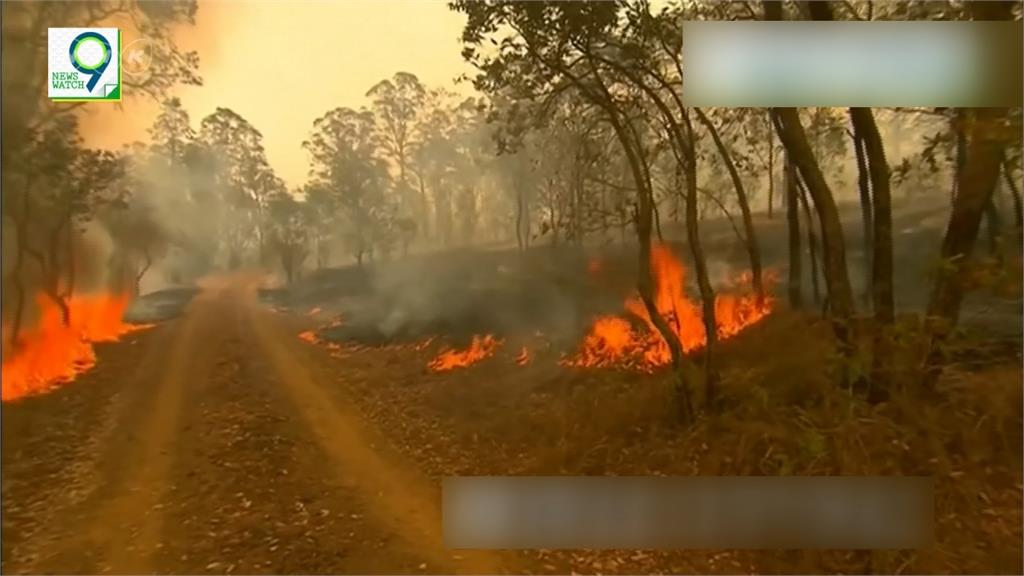 澳洲野火持續失控 專家警告大火恐燒到2月