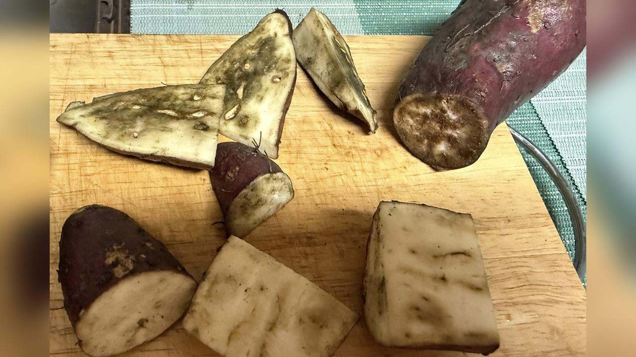 快新聞/請支援輸贏?全聯買地瓜「切開全遭病蟲害」 高嘉瑜怒轟:太差勁